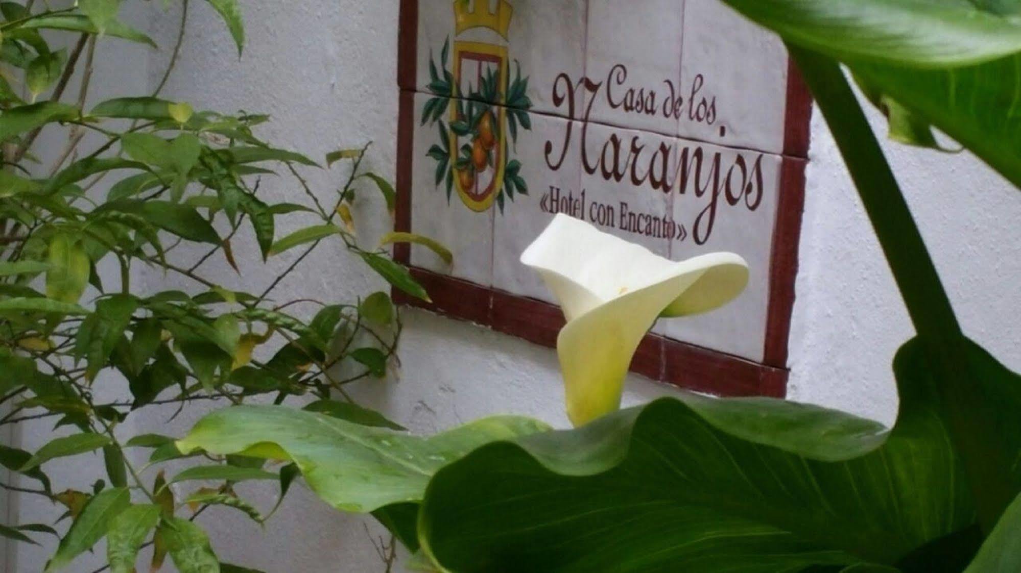 Hotel Boutique Puerta Del Rincon Cordoba Luaran gambar